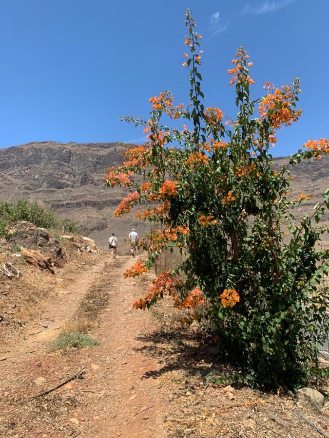 Hotel Masai Mara Resort Gran Canaria San Bartolomé 外观 照片
